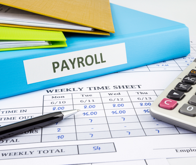 Payroll Services (Free Quote)